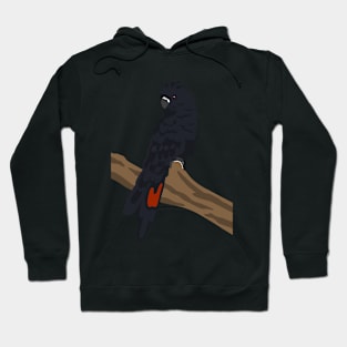 Black Cockatoo Hoodie